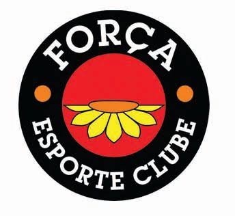 FORÇA SINDICAL